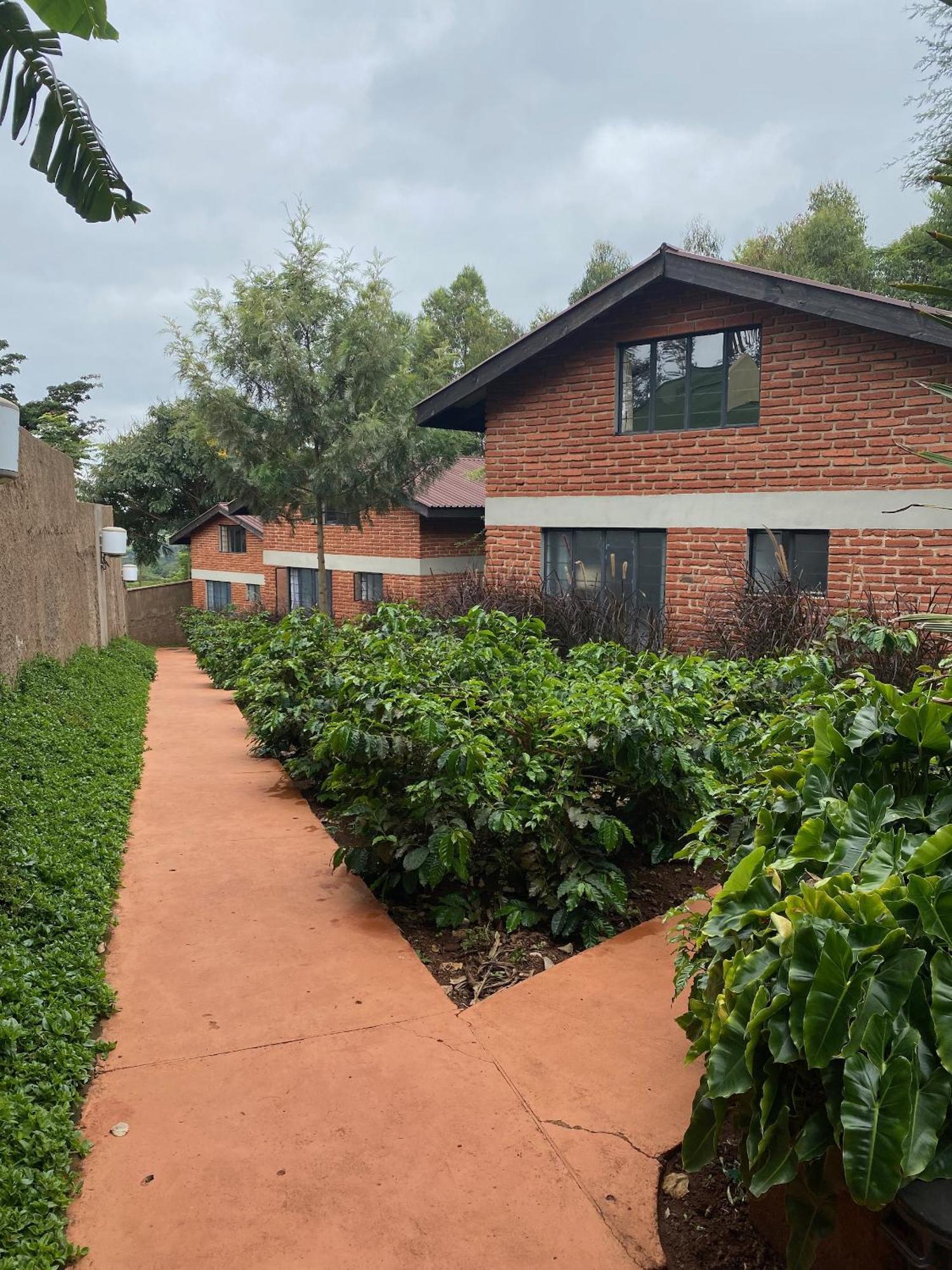 Lilac Hideaway Карату Экстерьер фото
